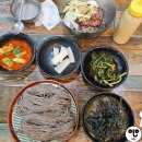 [맛집로그] 둔촌동 메밀촌 판메밀 &amp; 막국수 후기 ♥️재방문
