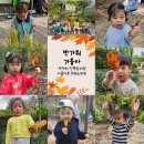 🍁10월 2주 바깥놀이 (가을을 찾아요)🍁 이미지