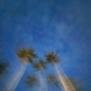 유화 B반 이미지