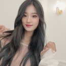 드로잉독 이미지