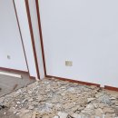 비상유도클럽 이미지