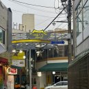 슌노사카나야 이미지