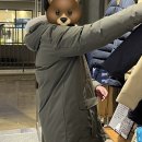 파타고니아롯데아울렛 이미지