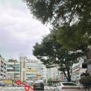 금수헤어아트 | 해운대 장산미용실 아리아수제펌 단발C컬 베너티앤코
