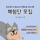 하나로동물병원 | 동물병원 추천｜강아지 슬개골·디스크·노령견 통증관리 특화 ‘하나로 양한방 동물병원’ 체험단 모집!