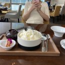 (주)피마 이미지