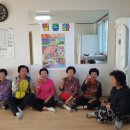 묘천1구 Daum카페