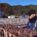 천해수산 - 용인시 기흥구 사은로 100 | 천해수산