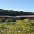 진미나주곰탕 이미지