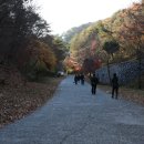 아직 남아있는 만추 (경주 골굴사) 이미지