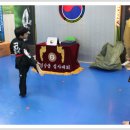 용인대 한얼 태권도 이미지