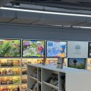 라스 - 남동구 능허대로625번길 140-15 | 라스북 체험 후기｜아이와 함께한 스마트 도서관 + 최영 AI강사 추천 이유