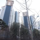 신흥탑공인중개사사무소 이미지