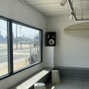 댕편한세상 이미지