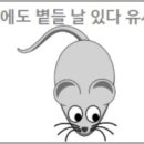 볕들 이미지