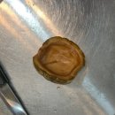 수아농원 | 일어나... 블챌해야지... 송쭈집 쭈꾸미 / 아기멜론 장아찌 / 득근파티 청양마요 닭가슴살 후기