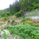 무주읍197 이미지