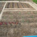 이태원초교 이미지