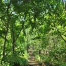 정발산공원 이미지