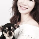 이태원헤어 이미지