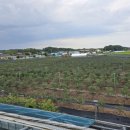 민이맘농장 이미지