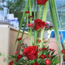 입촌농장 이미지