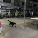 오정구 성오로124번길 47 이미지