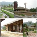 무궁화100리길 | 옥천 향수 100리길