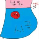 서울깍쟁이