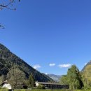 노이하우스 이미지