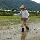 신전원일기 이미지