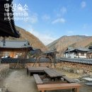 단양숙소 가족펜션 :) 단양한옥행복충전소 솔직후기 (강아지동반숙소)