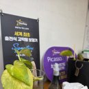 소리난청보청기센터 | 귀 속 삐― 소리에서 벗어나다, 굿모닝보청기 만안센터 방문 후기 🌿