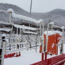 원지농원 이미지