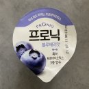 에치와이 방학점 | 프로닉 떠먹는 프로바이오틱스, 에치와이(한국야쿠르트) 요거트 추천 :)