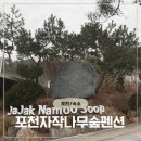 자작나무숲펜션 | 포천 풀빌라 추천 | 투오니들과 다녀온 포천 청계호수 자작나무숲 펜션 C동 풀빌라 후기