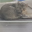 준세탁소 이미지