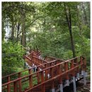 장동산림욕장 이미지