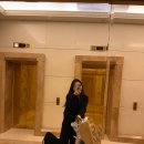 멜로비티 이미지