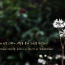 (주)시냇가에심은나무 이미지