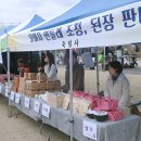 포항중앙여자고등학교 이미지