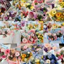 옥정로4길 이미지