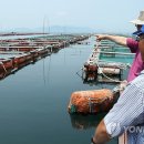 거제-거제-거제-비상-30 연합뉴스