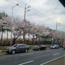 거북섬 오션뷰 호텔 지뜨 시흥점 후기 (조식 제공)
