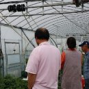 강병태농장 이미지