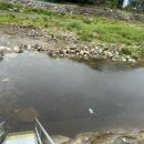 마음애고향 이미지