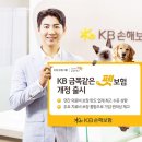 현대애견사료 이미지