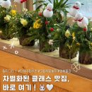 오태초등 병설 | [오태초등학교 병설유치원] 겨울 원예클래스, 생화트리만들기, 김천출강, 구미단체수업, 군위출강,대구...