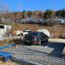 둥지애견 이미지