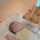 해피코코 - 동구 산내로 1338-1 | [협찬] 아기 애착인형 추천 해피호스 코코 실사용 후기｜국민애착인형 출산 및 임신 선물로 추천해요